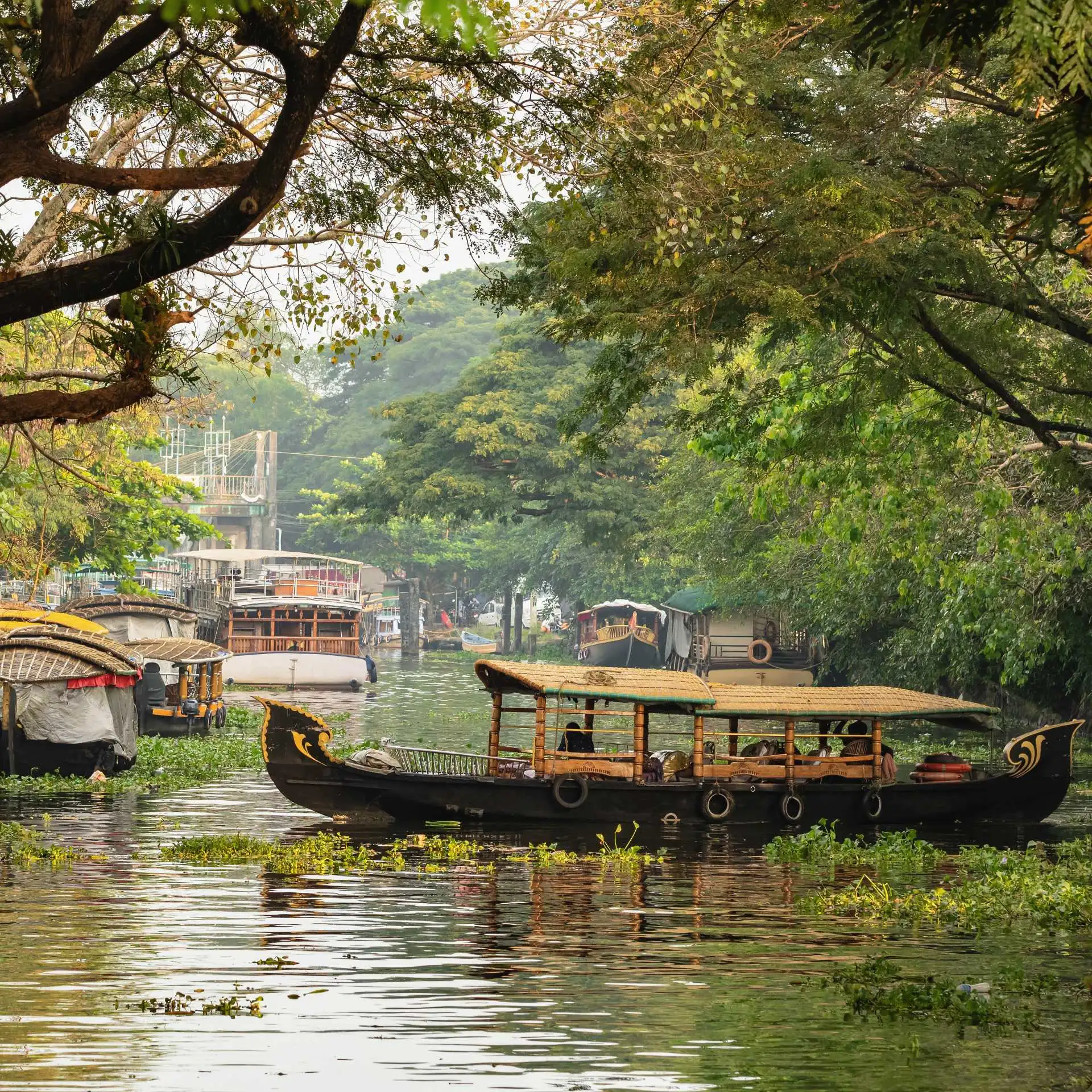 Kerala Backwaters